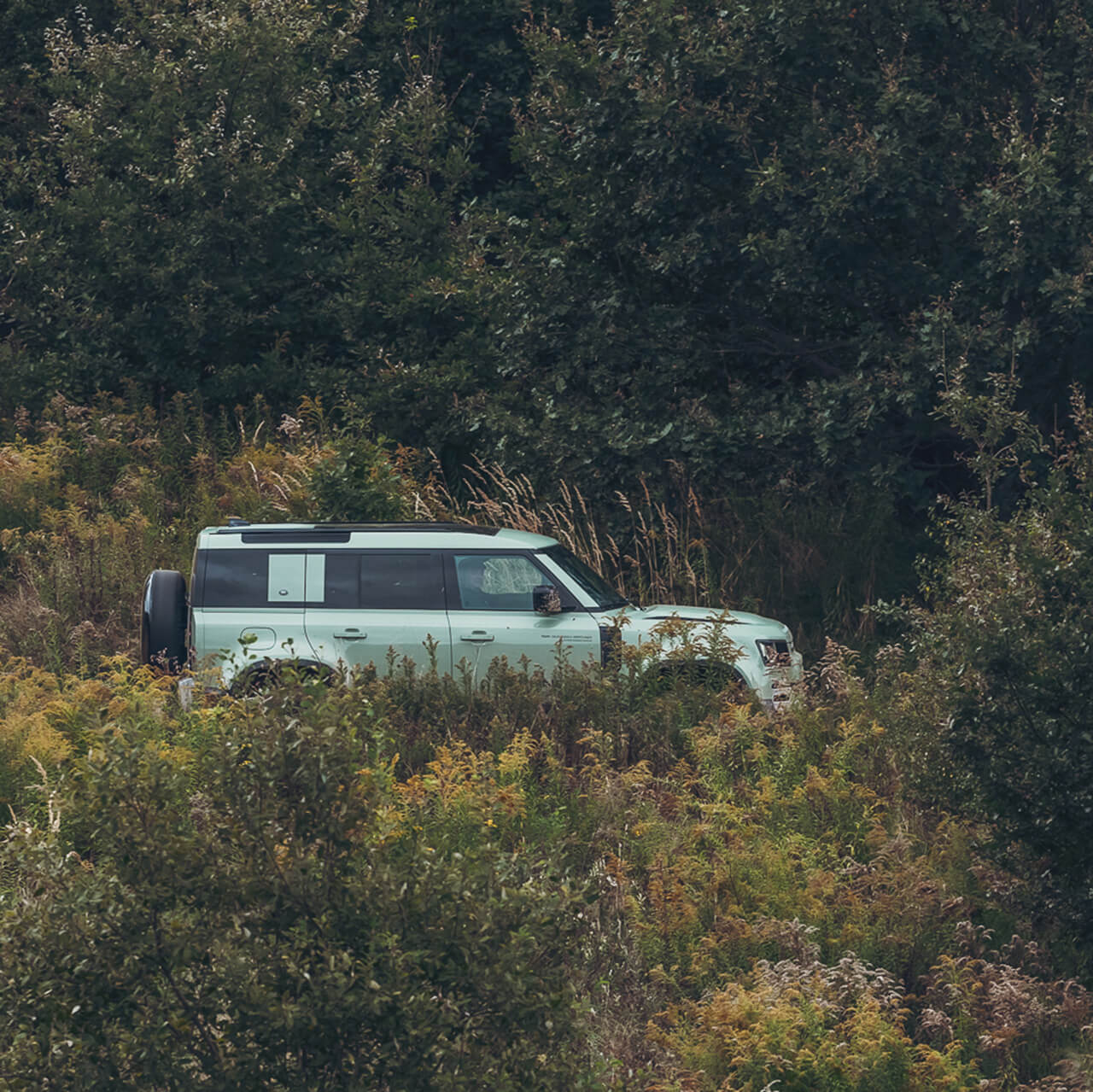 Balloon Team - Defender